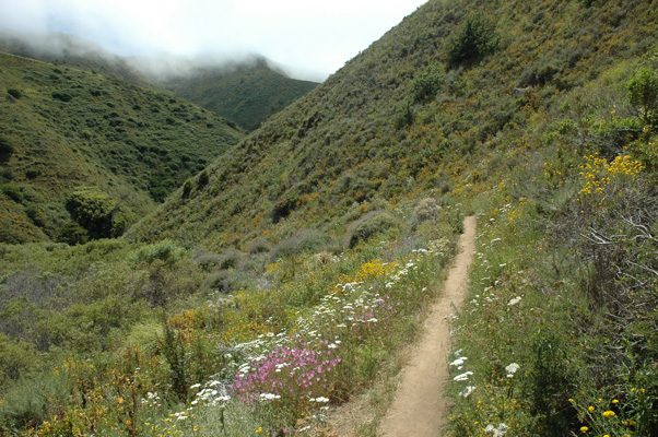 Soberanes Canyon 093.jpg